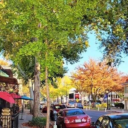 Artist'S Retreat Near The Heart Of The City Sacramento Exteriör bild