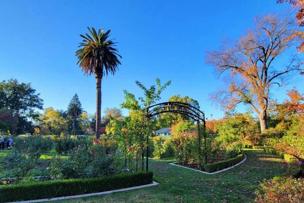 Artist'S Retreat Near The Heart Of The City Sacramento Exteriör bild